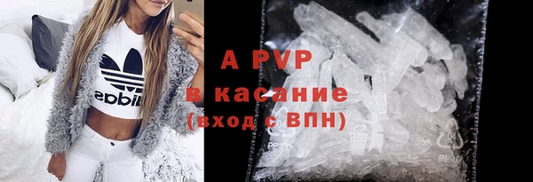 прущие грибы Балахна