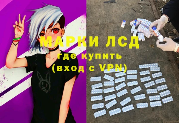 прущие грибы Балахна