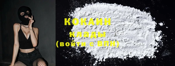 прущие грибы Балахна
