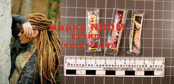 прущие грибы Балахна